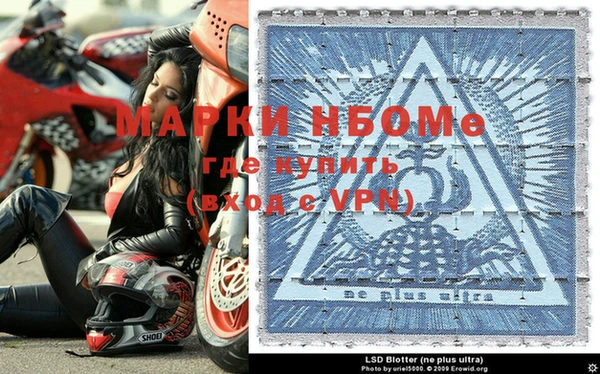 сатива Алзамай