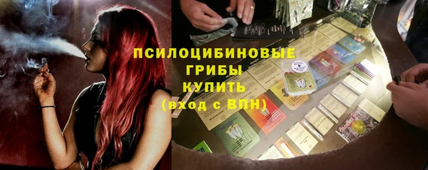 герыч Алексин