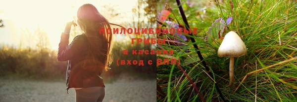 герыч Алексин