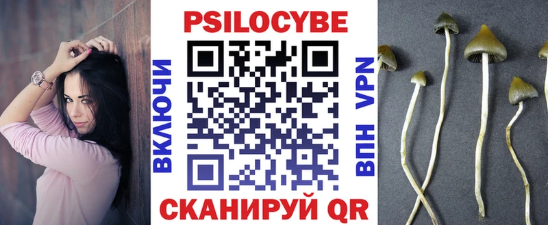 сайты даркнета состав  Пучеж  Галлюциногенные грибы Psilocybe 